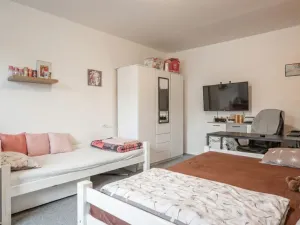 Prodej ubytování, Jílové, Na rovině, 301 m2