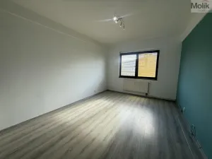 Pronájem bytu 2+kk, Litvínov - Horní Litvínov, Koldům, 49 m2