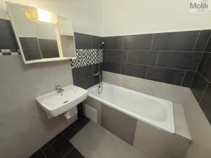 Pronájem bytu 2+kk, Litvínov - Horní Litvínov, Koldům, 49 m2