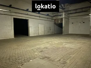 Pronájem skladu, Chomutov, 1864 m2