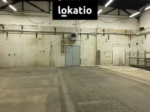 Pronájem skladu, Chomutov, 1864 m2