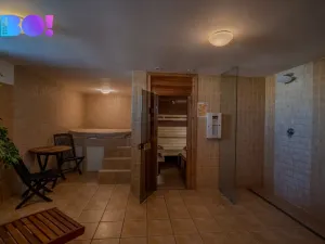 Prodej bytu 2+kk, Brno, Palackého třída, 50 m2