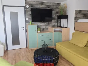 Pronájem bytu 1+kk, Hluboká nad Vltavou, Žižkova, 39 m2