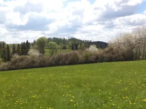 Dražba pozemku, Vítkov, 5357 m2