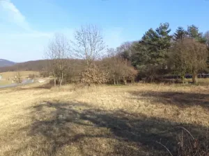 Dražba louky, Řehlovice, 2962 m2