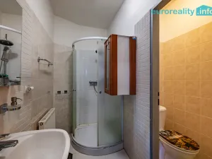 Prodej rodinného domu, Velká Hleďsebe, Havlíčkova, 229 m2