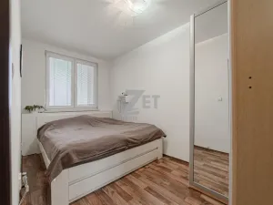 Prodej atypického bytu, Ostrava - Hrabůvka, U Haldy, 156 m2