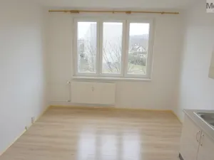 Pronájem bytu 1+1, Chomutov, Matěje Kopeckého, 36 m2