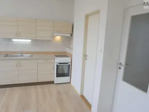 Pronájem bytu 1+1, Chomutov, Matěje Kopeckého, 36 m2