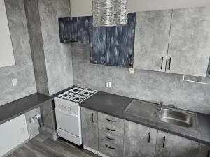 Pronájem bytu 1+1, Most, Višňová, 34 m2