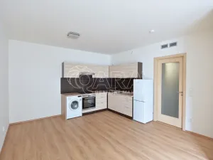 Pronájem bytu 2+kk, Praha - Žižkov, Hartigova, 39 m2