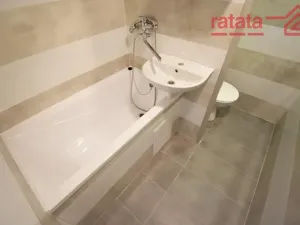 Pronájem bytu 1+1, Chomutov, Dřínovská, 35 m2