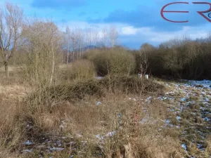 Prodej pozemku pro bydlení, Jestřebí, 1316 m2