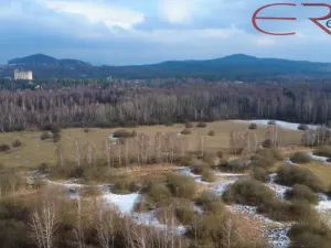 Prodej pozemku pro bydlení, Jestřebí, 1316 m2