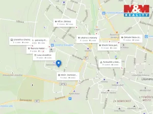 Prodej bytu 2+1, Litoměřice - Předměstí, Družstevní, 53 m2