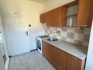 Pronájem bytu 1+kk, Dolní Podluží, 30 m2