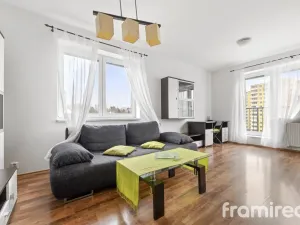 Pronájem bytu 1+kk, Brno, Čeňka Růžičky, 42 m2