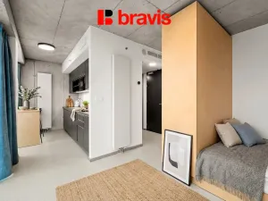 Pronájem bytu 1+kk, Brno - Trnitá, Dornych, 27 m2
