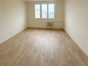 Pronájem bytu 1+1, Třemošná, Sídliště, 40 m2