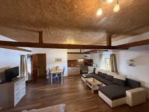 Prodej rodinného domu, Frymburk, 1140 m2