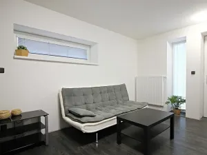Pronájem bytu 1+kk, Brno, Jeneweinova, 36 m2