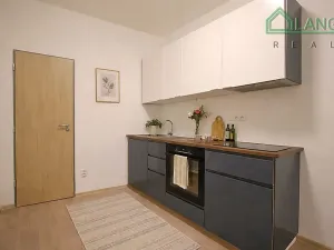 Pronájem bytu 2+1, Brno, Francouzská, 41 m2