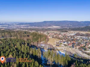 Prodej pozemku pro bydlení, Česká Čermná, 4310 m2