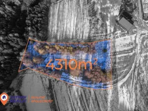 Prodej pozemku pro bydlení, Česká Čermná, 4310 m2