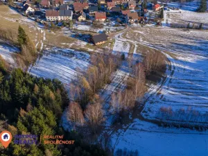 Prodej pozemku pro bydlení, Česká Čermná, 4310 m2