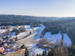 Prodej pozemku pro bydlení, Česká Čermná, 4310 m2