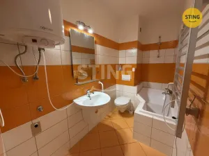 Pronájem bytu 1+1, Opava, Polanova, 32 m2