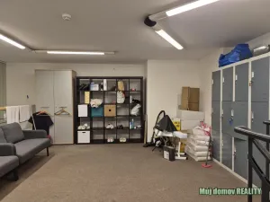 Pronájem komerční nemovitosti, Praha - Vysočany, bratří Dohalských, 233 m2