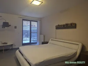 Pronájem bytu 1+kk, Praha - Vinohrady, Francouzská, 60 m2