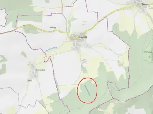 Prodej lesa, Plzeň, 5650 m2