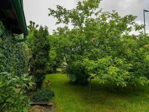 Prodej zemědělské usedlosti, Nová Sídla, 327 m2