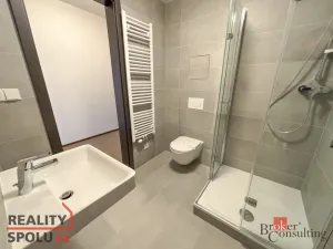 Prodej bytu 1+kk, Praha - Vysočany, Fafkových, 31 m2