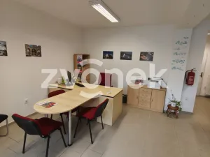 Pronájem komerční nemovitosti, Bystřice pod Hostýnem, Čs. brigády, 45 m2
