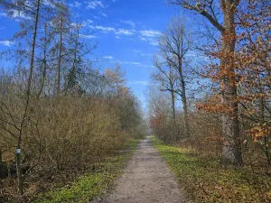 Prodej pozemku, 9079 m2