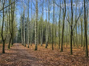 Prodej pozemku, 9079 m2