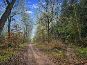 Prodej pozemku, 9079 m2