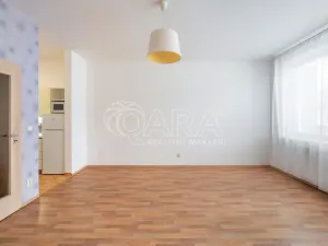 Pronájem bytu 1+kk, Brno - Staré Brno, Křídlovická, 39 m2
