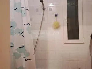 Pronájem bytu 2+kk, Praha - Nusle, U družstva Život, 60 m2