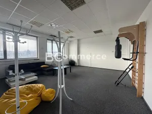 Pronájem kanceláře, Brno, 1020 m2
