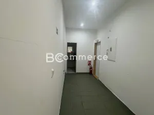 Pronájem skladu, Brno, Dornych, 226 m2