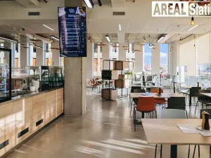 Pronájem kanceláře, Brno, Tuřanka, 53 m2