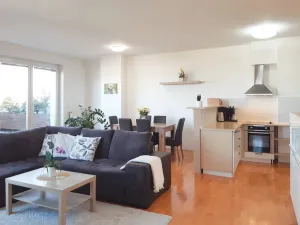 Pronájem bytu 2+kk, Olomouc - Nová Ulice, Okružní, 61 m2