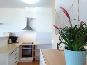 Pronájem bytu 2+kk, Olomouc - Nová Ulice, Okružní, 61 m2