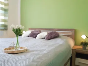 Pronájem bytu 2+kk, Olomouc - Nová Ulice, Okružní, 61 m2