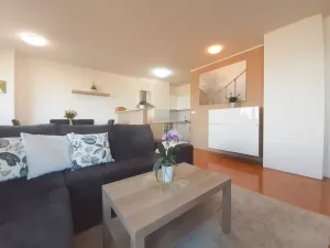 Pronájem bytu 2+kk, Olomouc - Nová Ulice, Okružní, 61 m2