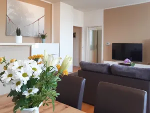 Pronájem bytu 2+kk, Olomouc - Nová Ulice, Okružní, 61 m2